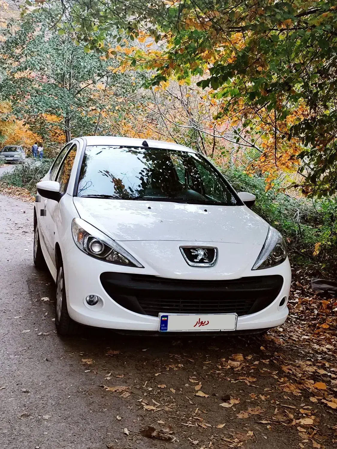 فروش ۲۰۷ TU5 مدل ۱۴۰۳ سقف فلزی|خودرو سواری و وانت|رستمآباد, |دیوار