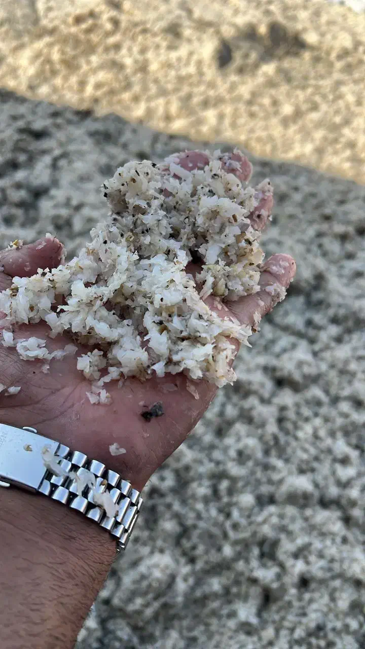 تفاله تر ارسال از پیرانشهر|حیوانات مزرعه|سقز, |دیوار