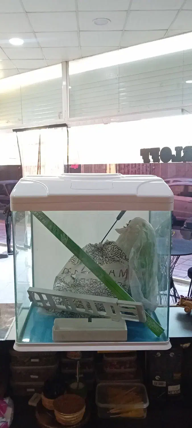 آکواریوم|ماهیگیری|قرچک, مهدیه|دیوار