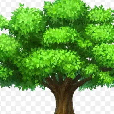 نهال|گل و گیاه طبیعی|زاهدان, |دیوار