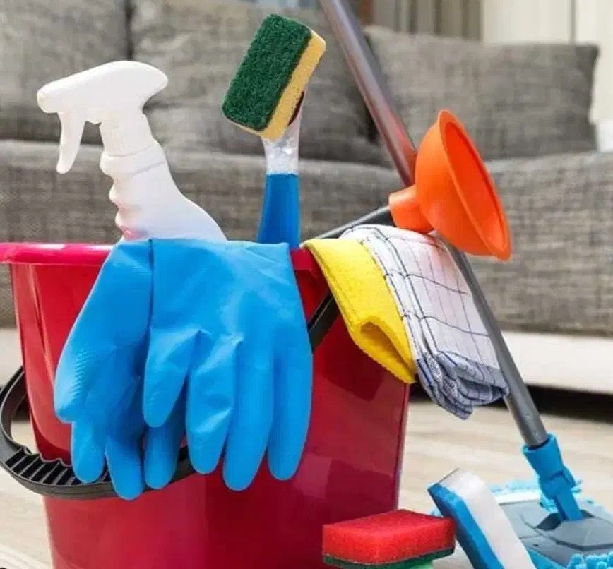 استخدام نیرو کار خانم برای نظافت با حقوق پایه|استخدام سرایداری و نظافت|مریوان, |دیوار