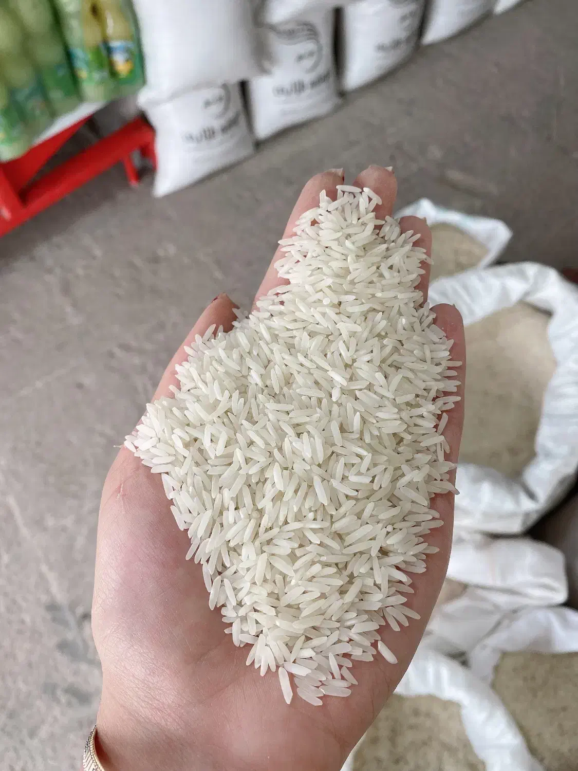 برنج فجر سوزنی سورت شده|خوردنی و آشامیدنی|گرگان, |دیوار