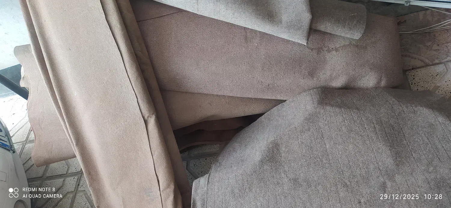 موکت|موکت|بجنورد, |دیوار