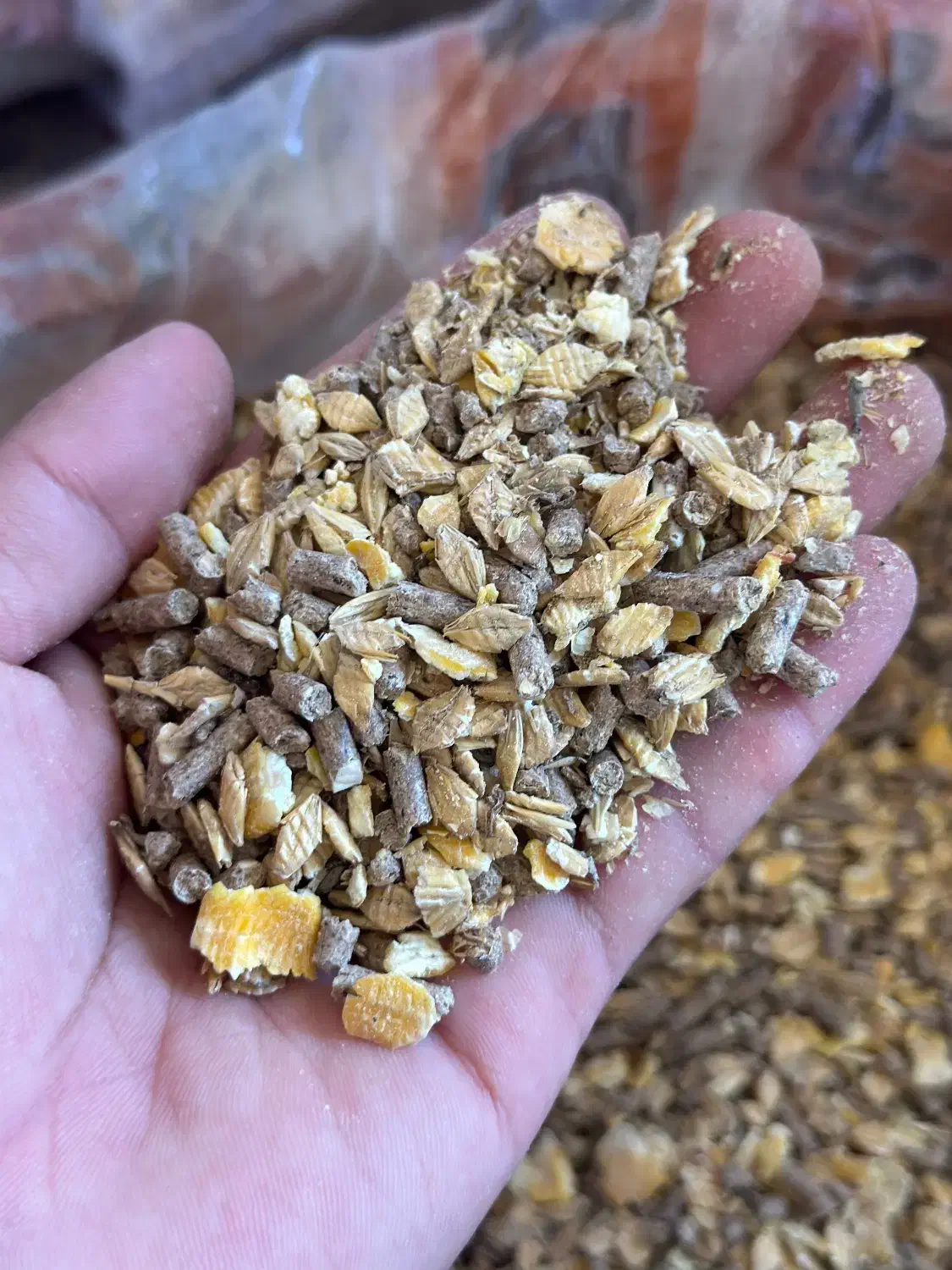 خوراک دام اجیلی درجه یک مستقیم از تولیدی|عمده‌فروشی|مراوه, |دیوار