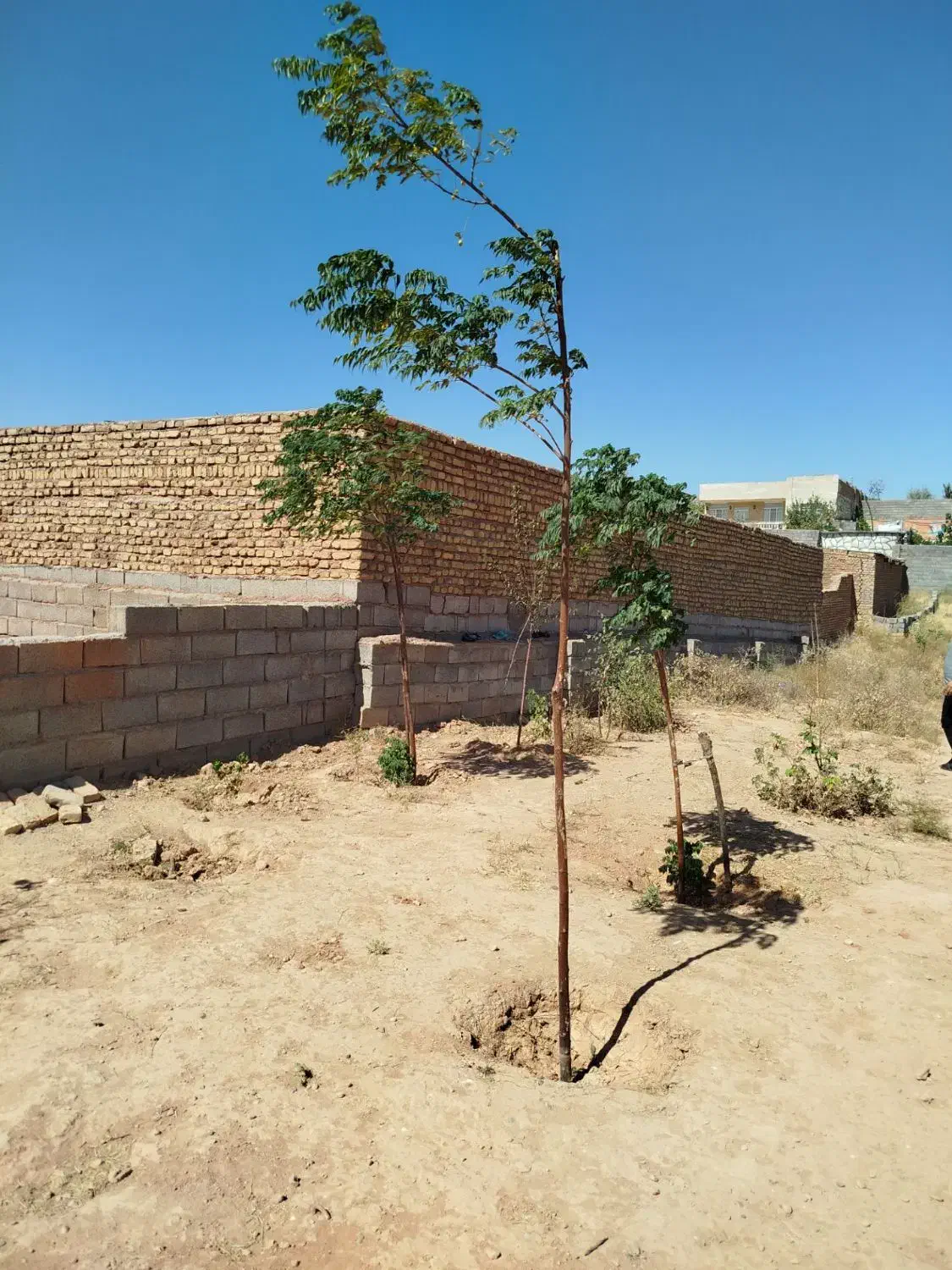 زمین فروشی|فروش زمین و ملک کلنگی|ملکآباد, |دیوار