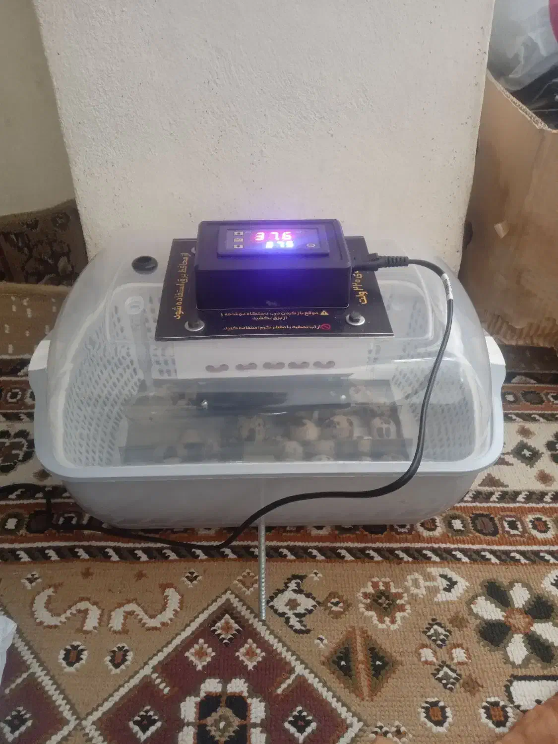 دستگاه جوجه کشی|لوازم جانبی حیوانات|تربت‌حیدریه, قائم|دیوار