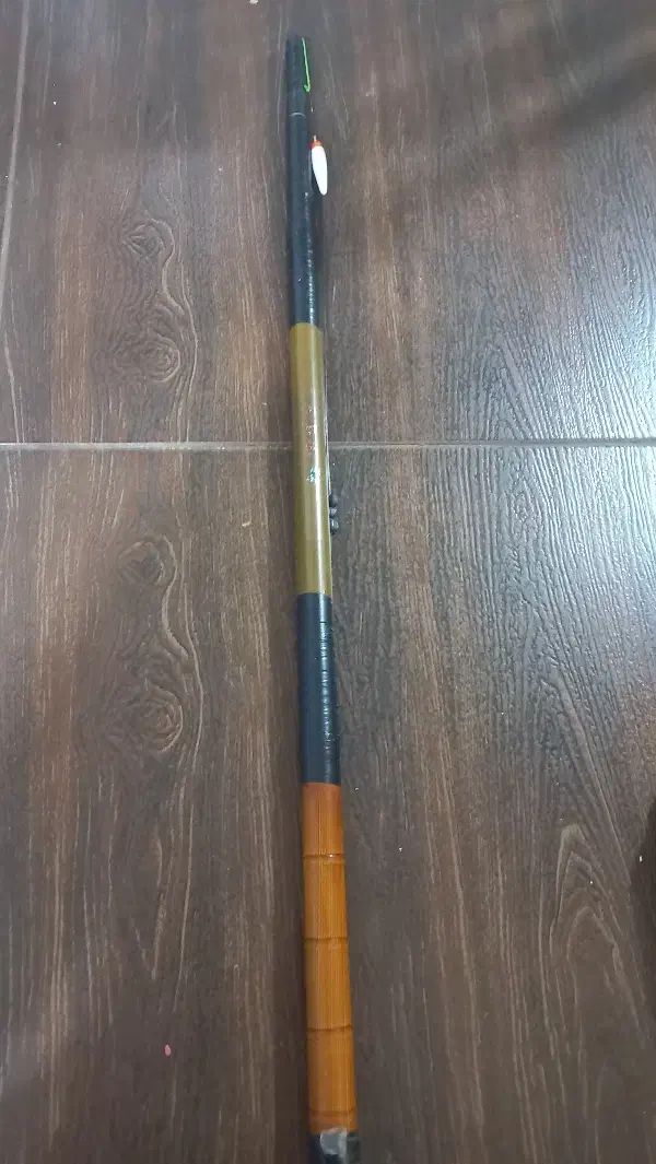 کاسی کربن|ماهیگیری|رشت, عینک|دیوار