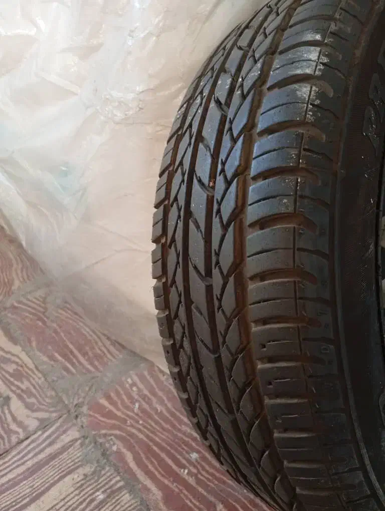 رینگ لاستیک پراید|قطعات یدکی و لوازم جانبی|شیراز, ده پیاله|دیوار