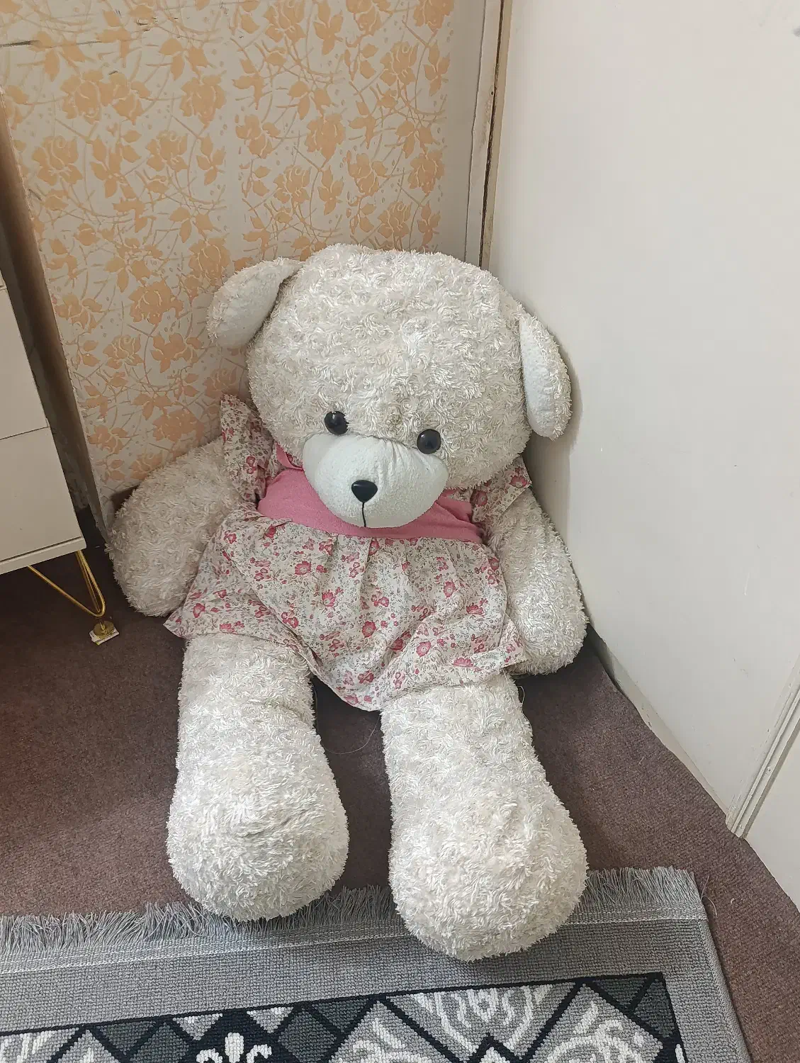 خرس سفید|اسباب‌بازی بچه|مشهد, کوشش|دیوار