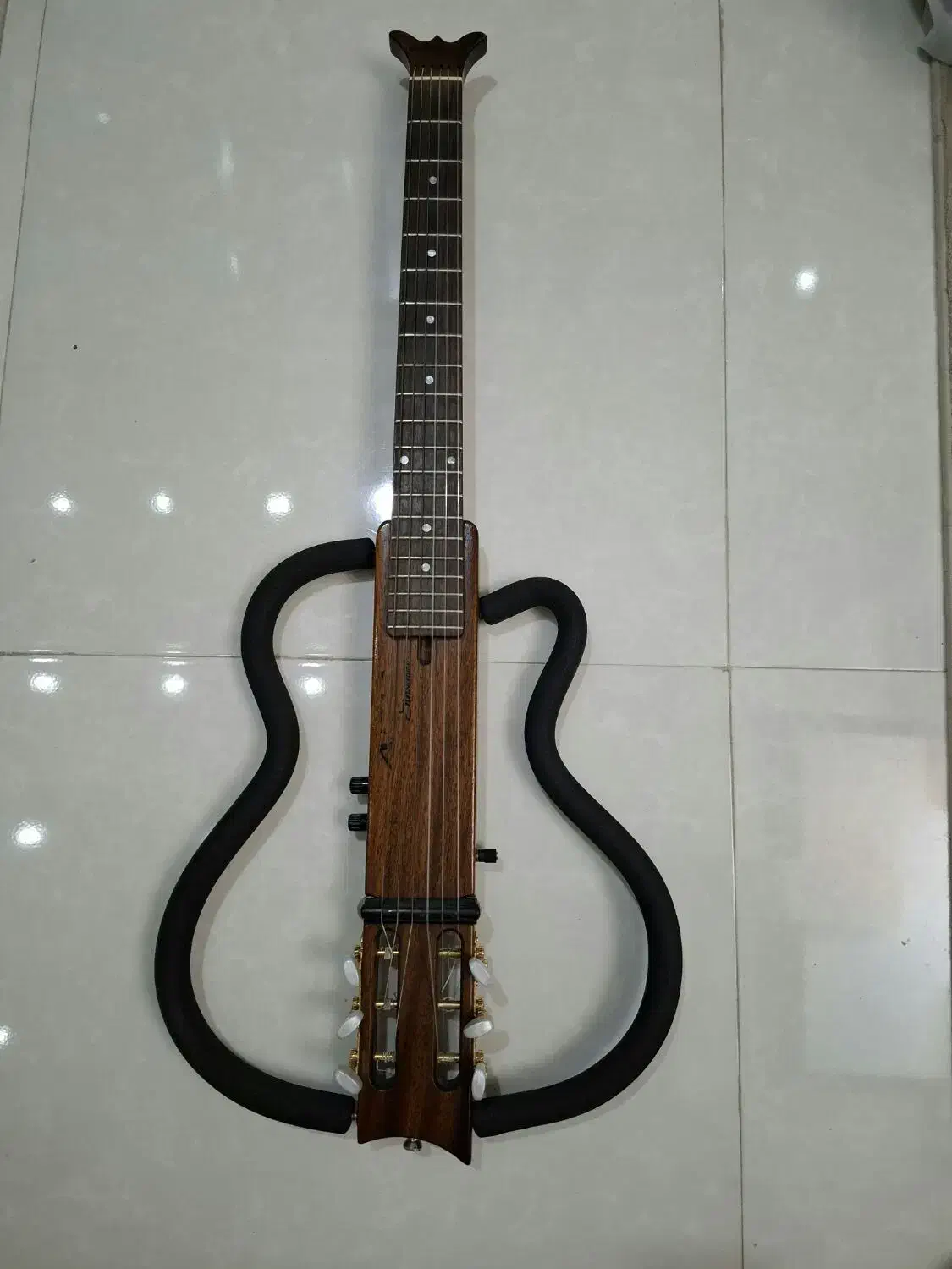 گیتار کلاسیک  الکتریک سایلنت آریا آمریکا|گیتار، بیس، امپلیفایر|رشت, کاکتوس|دیوار