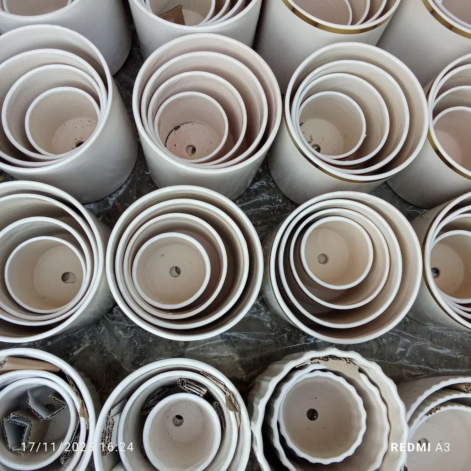 گل و گیاه و گلدون و خاک تولیدی|گل و گیاه طبیعی|بندر ماهشهر, |دیوار