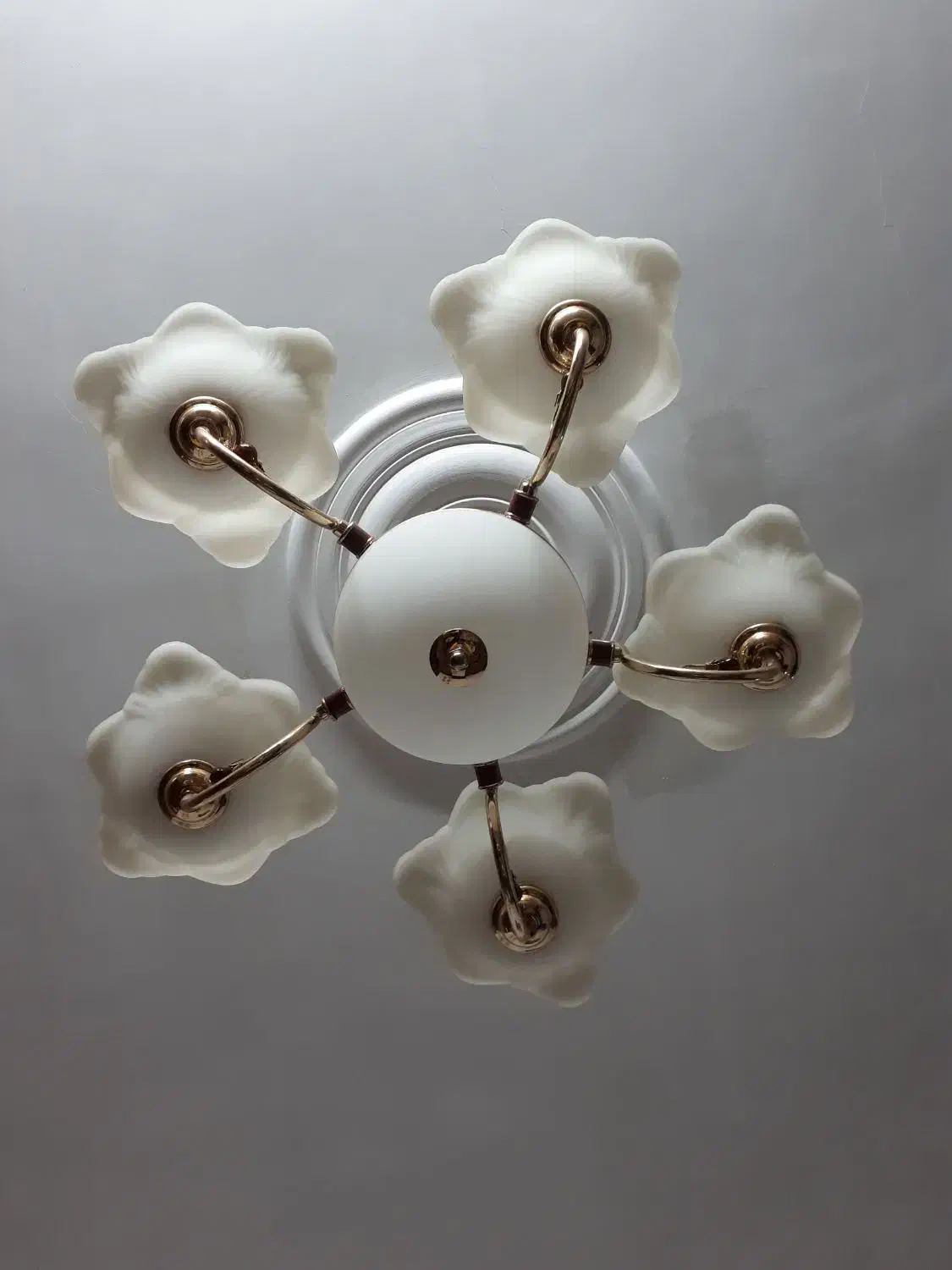 لوستر ۵ شاخه|لوستر و چراغ آویز|کرمان, |دیوار