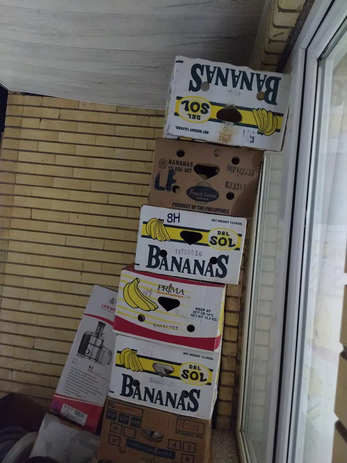 کارتون جا موز|عمده‌فروشی|جوانرود, |دیوار