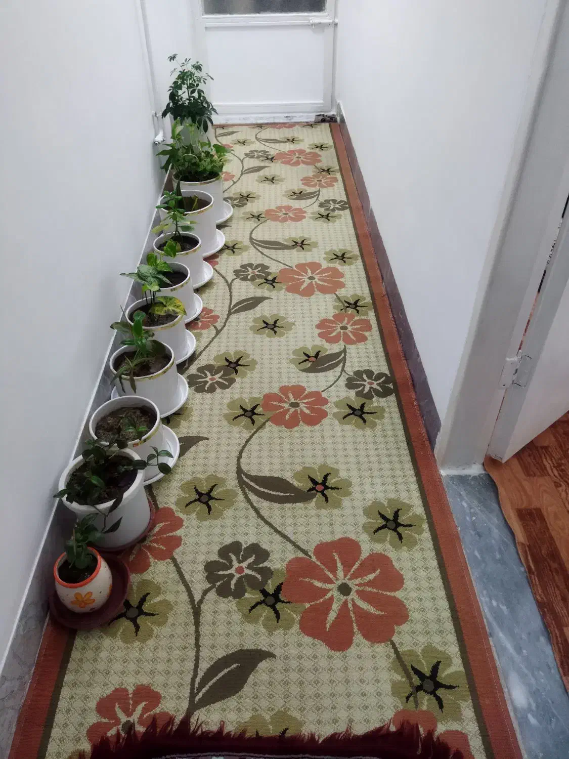 گلیم فرش|گلیم، جاجیم، گبه|کرمانشاه, |دیوار