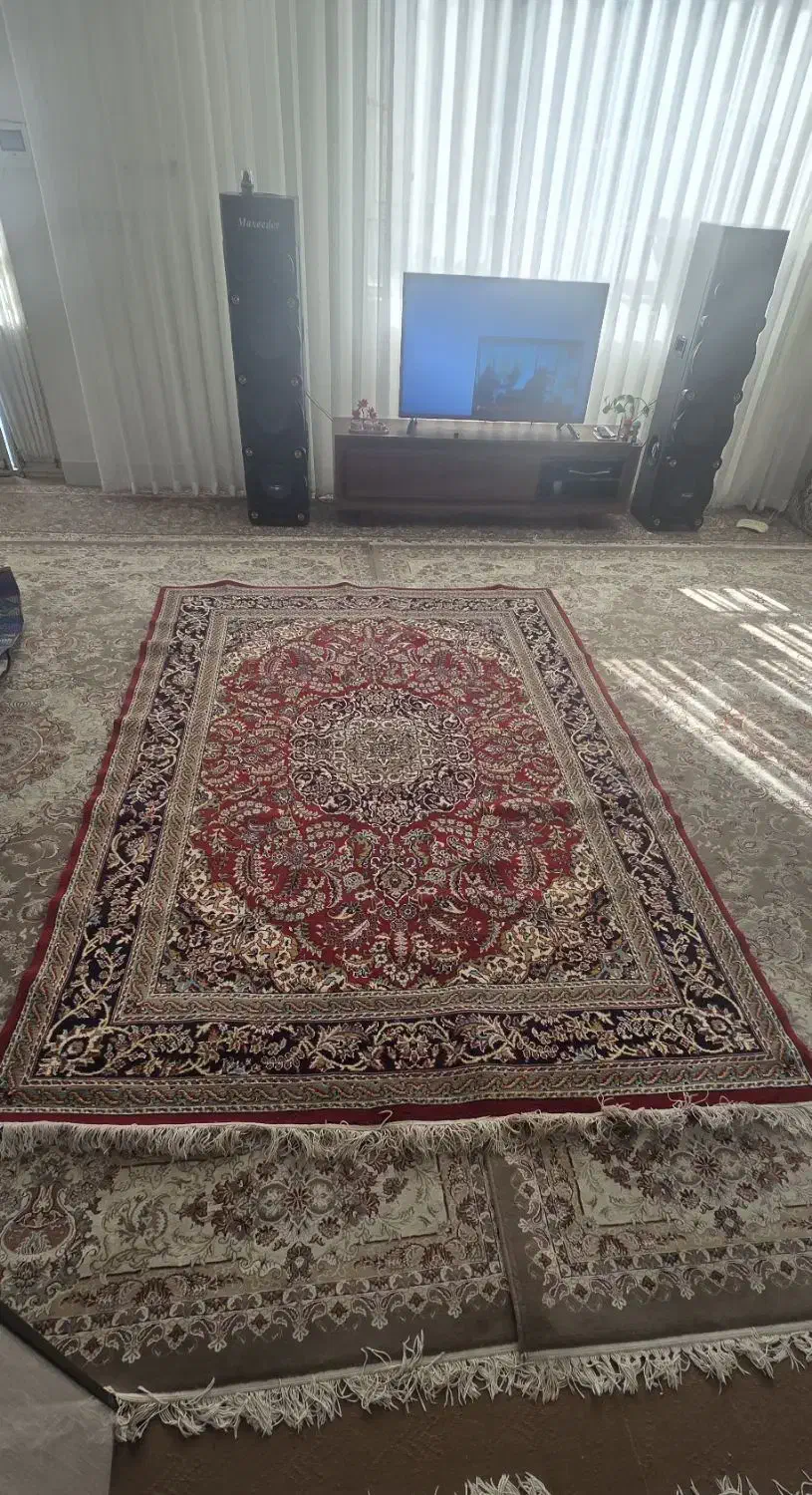 فرش|فرش|سبزوار, توحیدشهر|دیوار