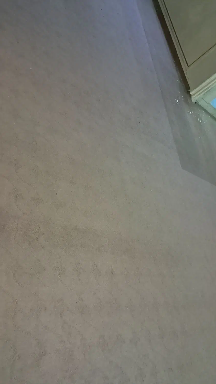 موکت|موکت|فولادشهر, B6|دیوار