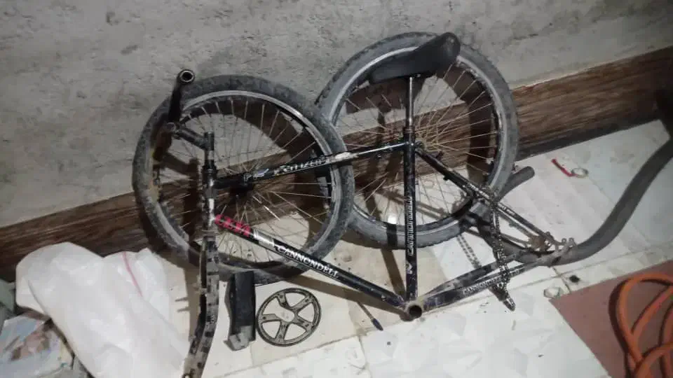 دوچرخه دماوند|دوچرخه، اسکیت، اسکوتر|زابل, |دیوار