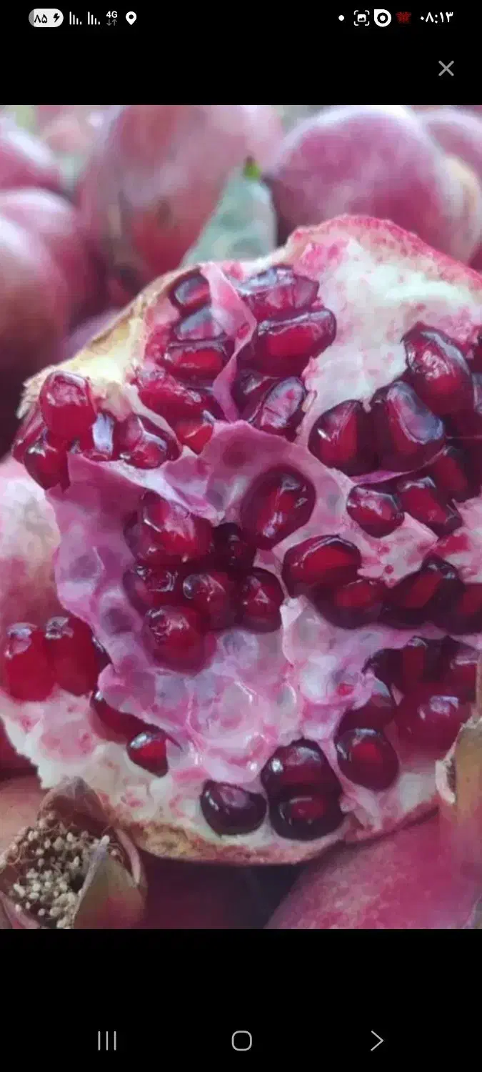 اناردرجه یک.|خوردنی و آشامیدنی|گلپایگان, |دیوار