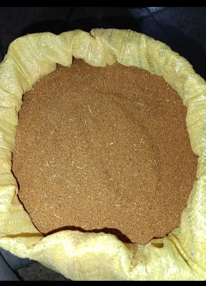 بذر یونجه|گل و گیاه طبیعی|شیروان (خراسان), |دیوار