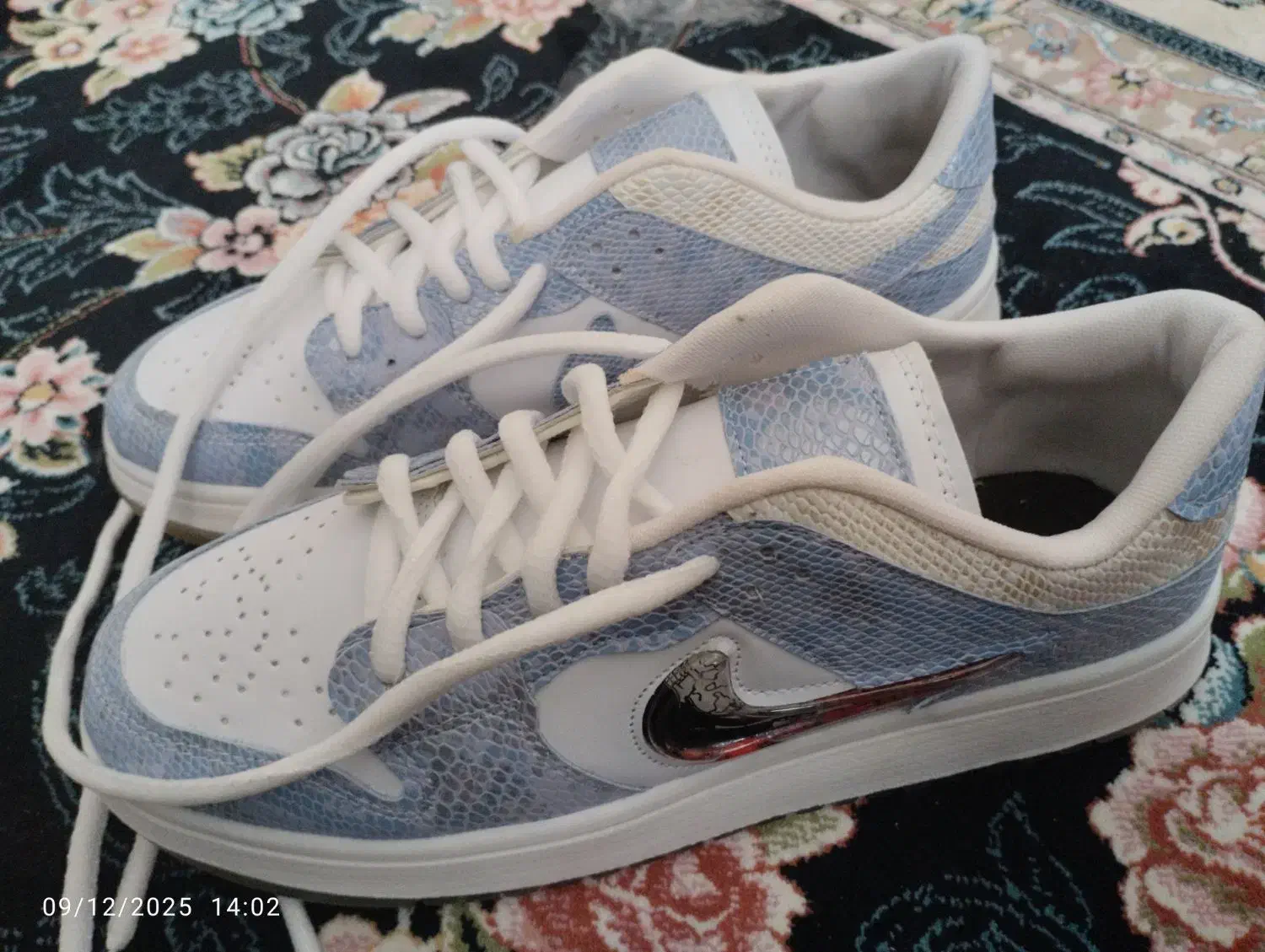 کفش دراگون ارزان|کیف، کفش، کمربند|تایباد, |دیوار