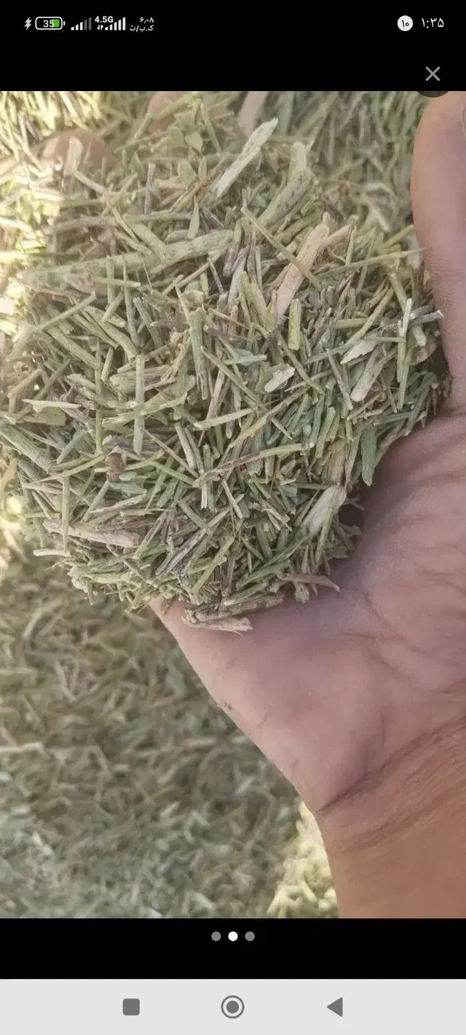 کاه گندم و خارشتر تحویل درب دامداری|لوازم جانبی حیوانات|آشخانه, |دیوار