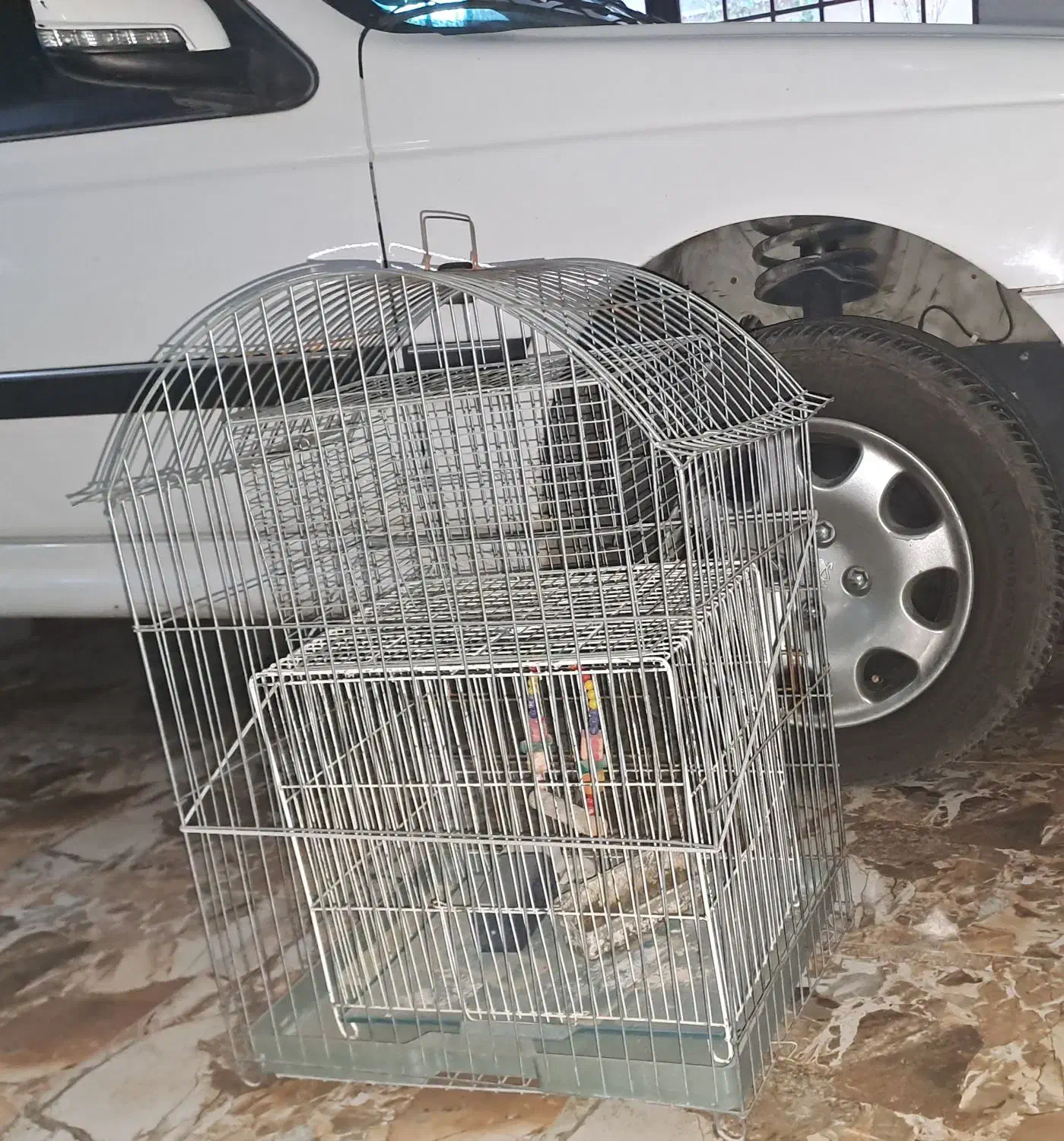 قفس پرنده|لوازم جانبی حیوانات|سنندج, |دیوار