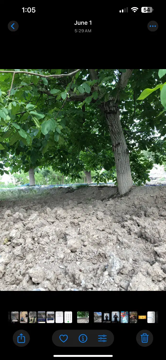 فروش یک ساعت اب|فروش دفتر صنعتی، کشاورزی، تجاری|خوسف, |دیوار