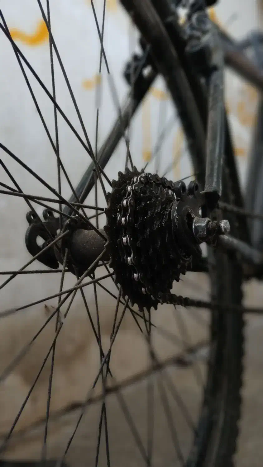 دوچرخه ۲۶|دوچرخه، اسکیت، اسکوتر|بروجرد, |دیوار