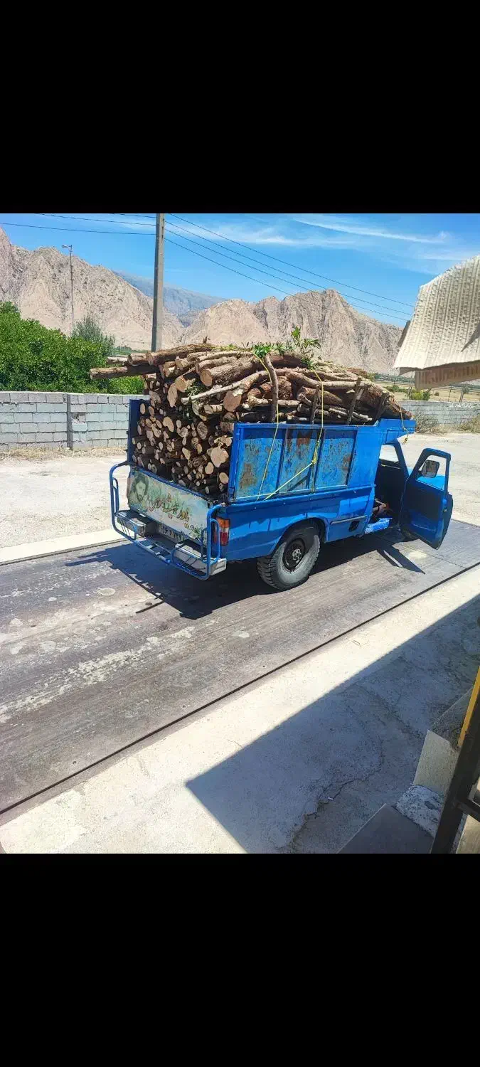 خرید انواع چوب  در خانه و باغ بصورت نقد|خدمات باغبانی و درختکاری|نورآباد ممسنی, |دیوار