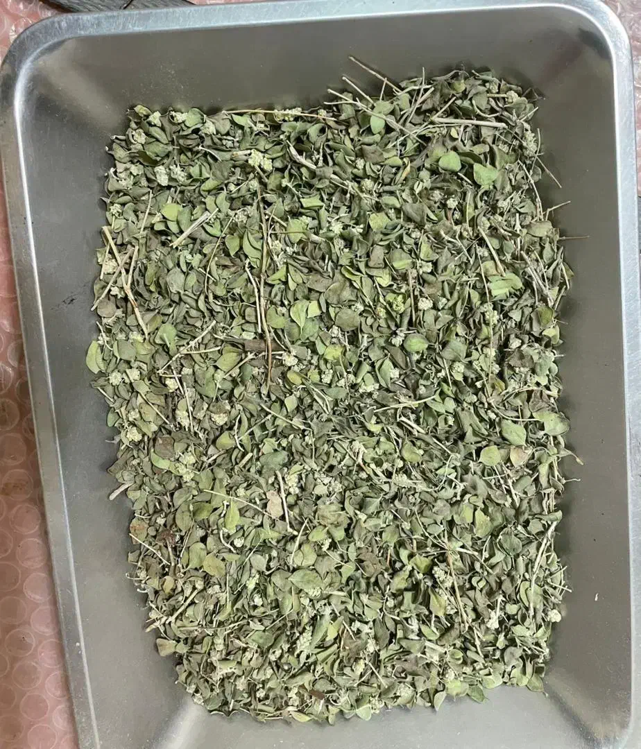 آویشن کوهی|خوردنی و آشامیدنی|مشهد, مقدم|دیوار