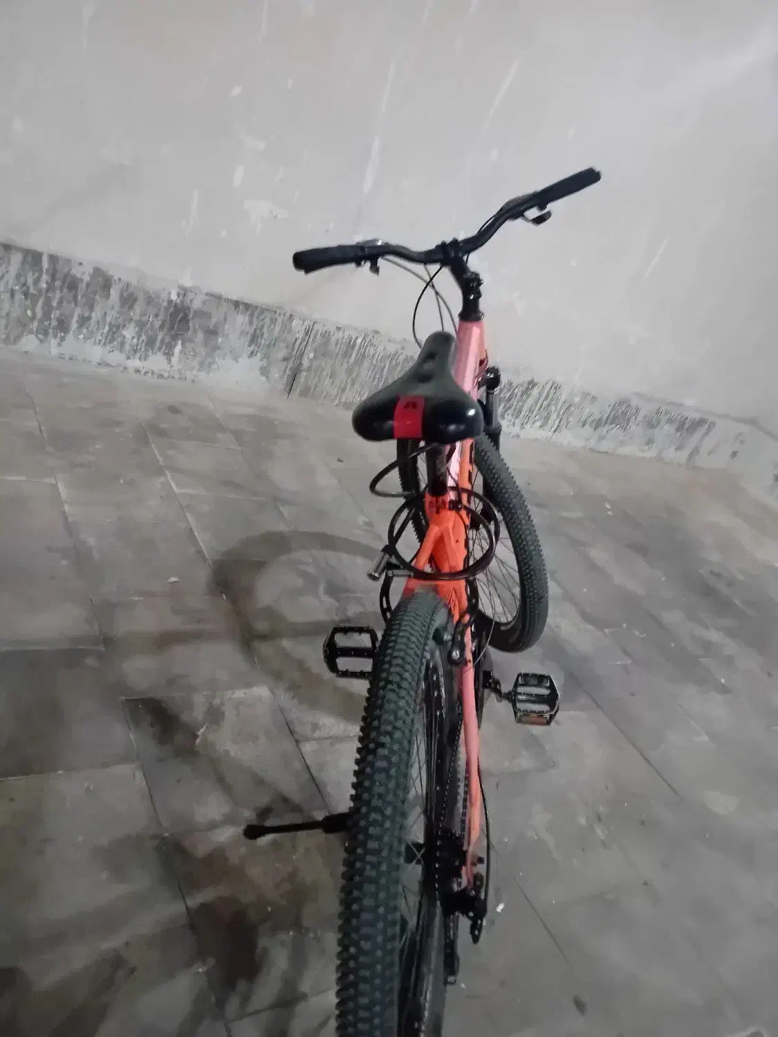 دوچرخه 26|دوچرخه، اسکیت، اسکوتر|پرند, فاز ۵|دیوار