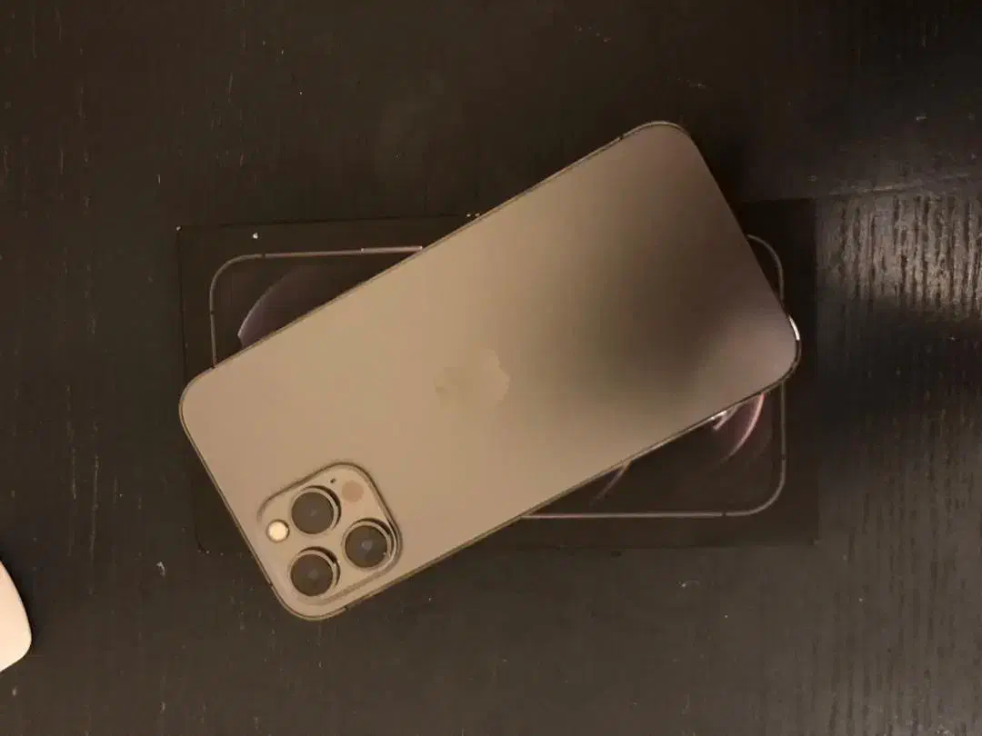 اپل iPhone 12 pro max با حافظه ۲۵۶گیگ|موبایل|مشهد, کلاهدوز|دیوار