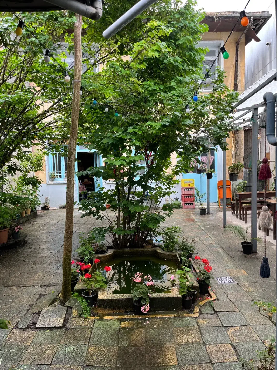 سالندار|استخدام خدمات فروشگاه و رستوران|بندر انزلی, سی متری|دیوار