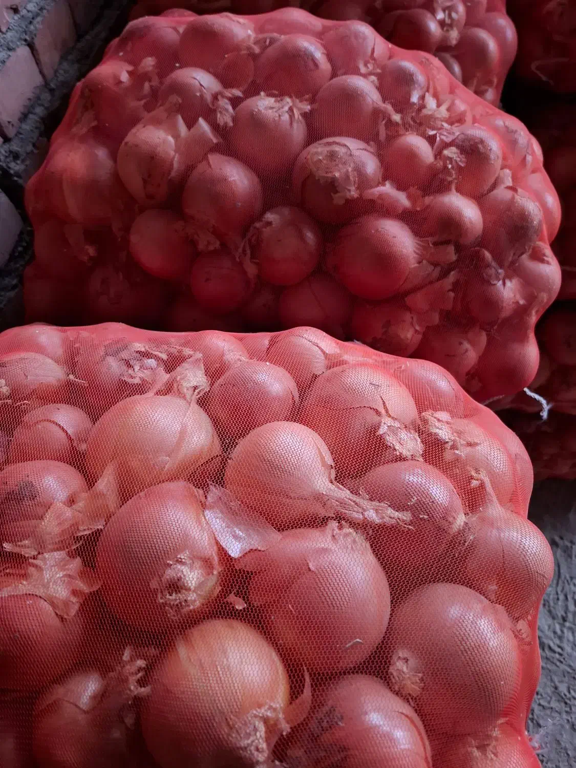 تامین کننده پیاز برا صادرات و شهرستان|حراج|بناب, |دیوار