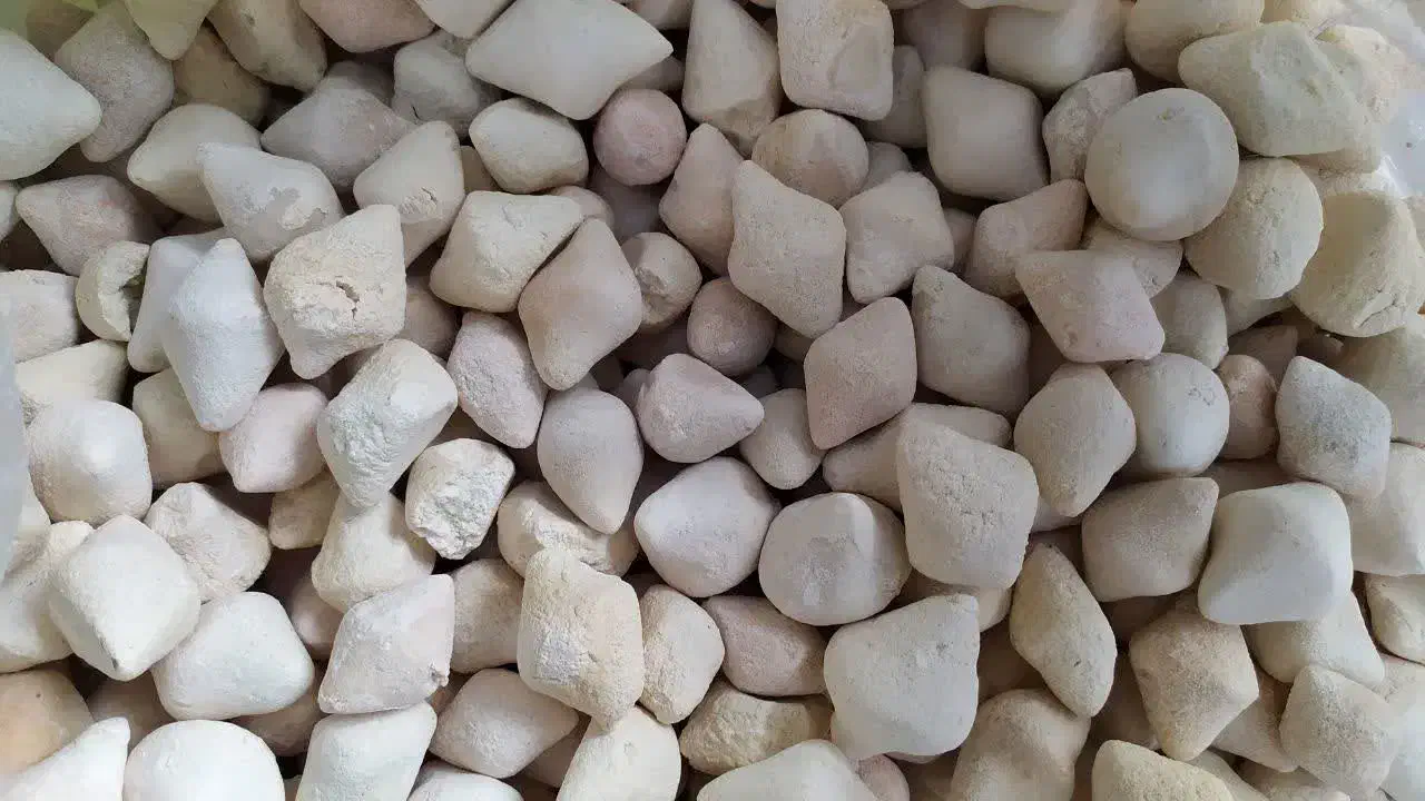 کشک گوسفندی|خوردنی و آشامیدنی|یزد, |دیوار