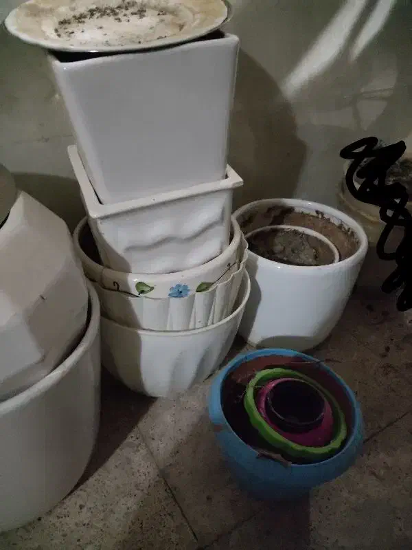 شلف.گلدان.میز و پایه|گل و گیاه طبیعی|قرچک, مهدیه|دیوار