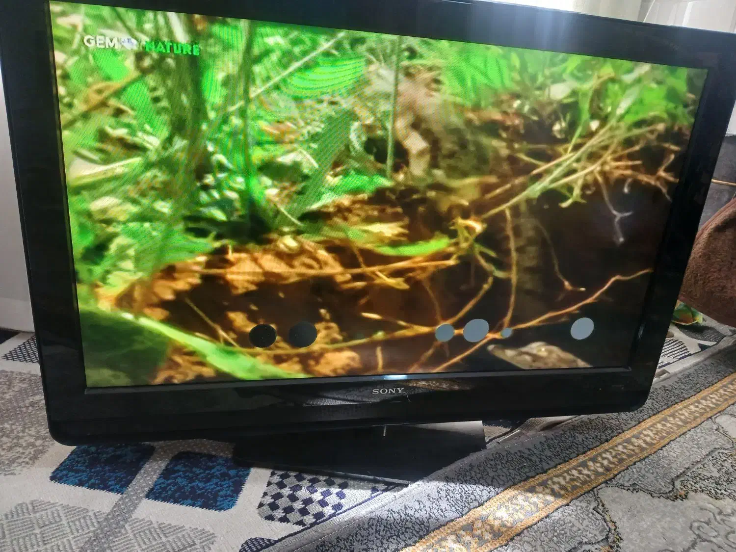 تلویزیون سونی براویا|تلویزیون و پروژکتور|قم, یزدان‌شهر|دیوار