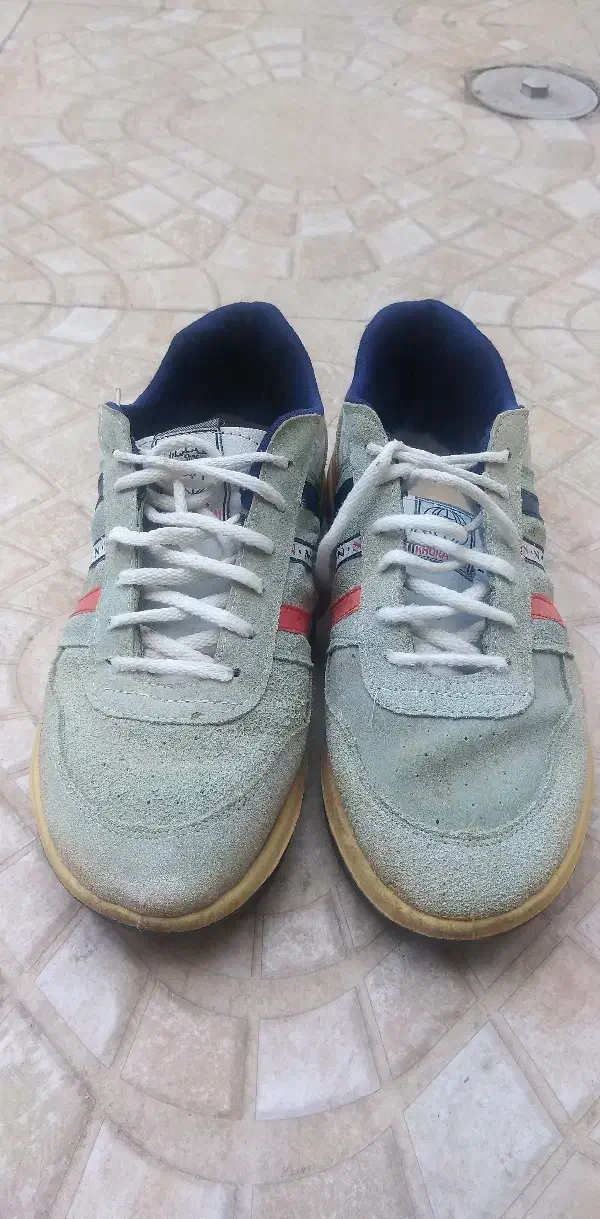 کفش کتونی|کیف، کفش، کمربند|گنبد کاووس, |دیوار