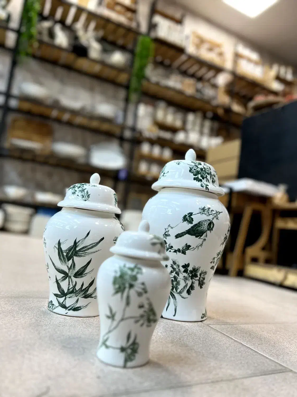 جینجر ب قیمت تولیدی|ظروف سرو و پذیرایی|پاکدشت, پاکدشت (مامازند)|دیوار