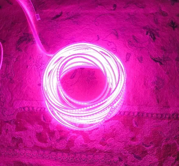 13 متر ریسه نئون رنگ نچرال بنفش|ریسه و چراغ تزئینی|فردیس, فردیس|دیوار