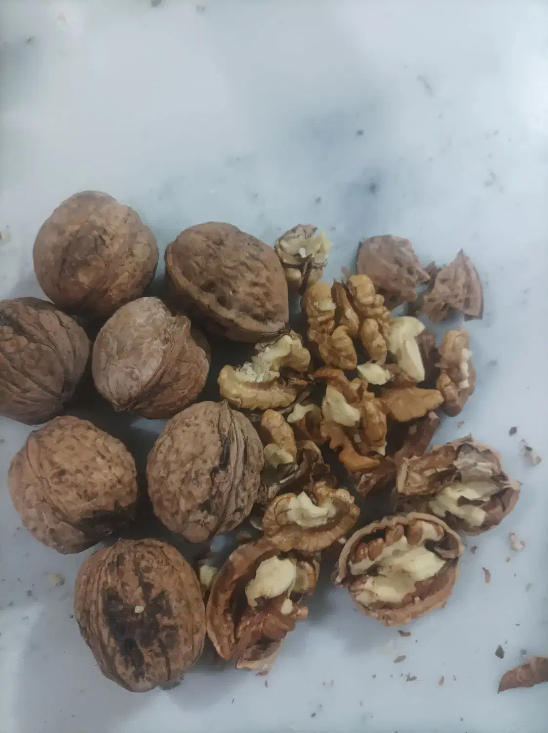 پرمغز|خوردنی و آشامیدنی|قوچان, |دیوار