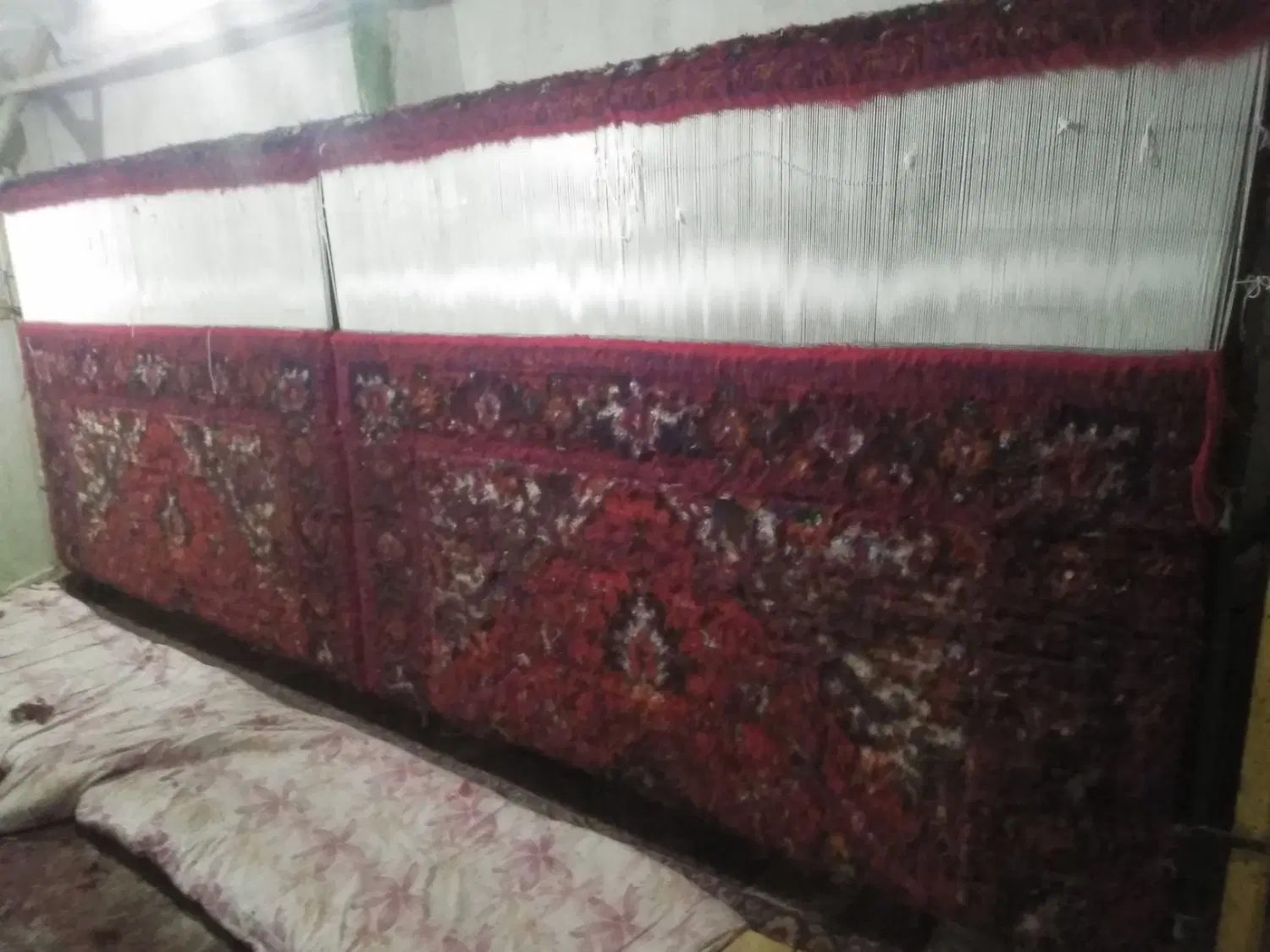 فرش|فرش|عجب شیر, |دیوار