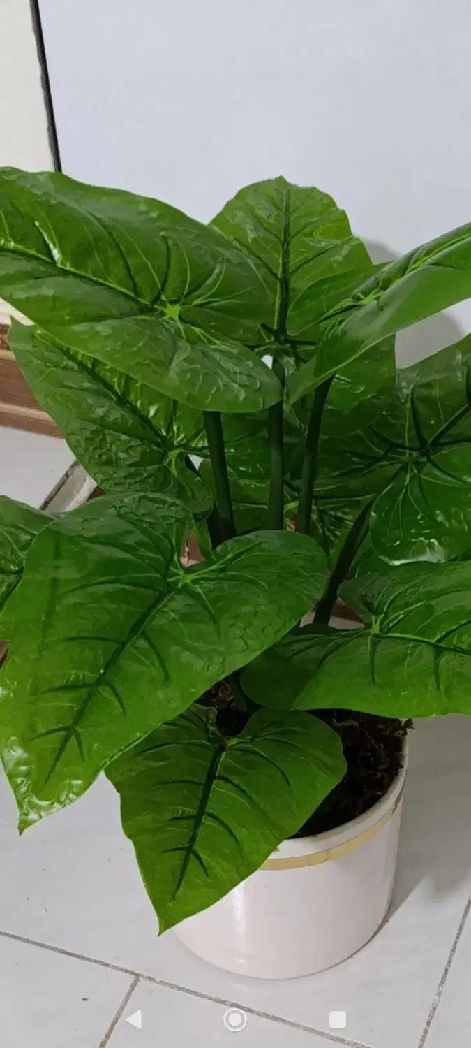 گل ها مصنوعی|گل مصنوعی|دورود, |دیوار