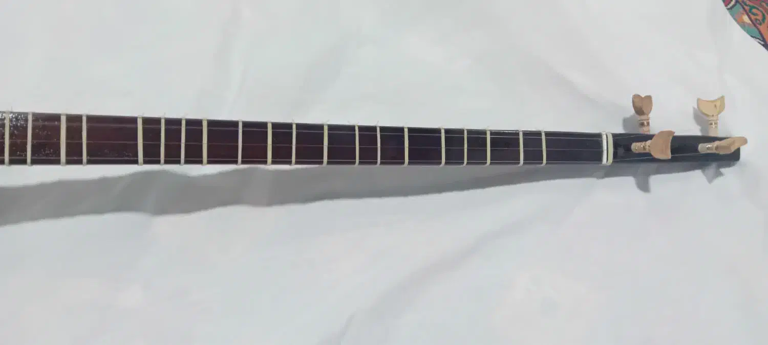 سه تار|سازهای سنتی|مشهد, پورسینا|دیوار