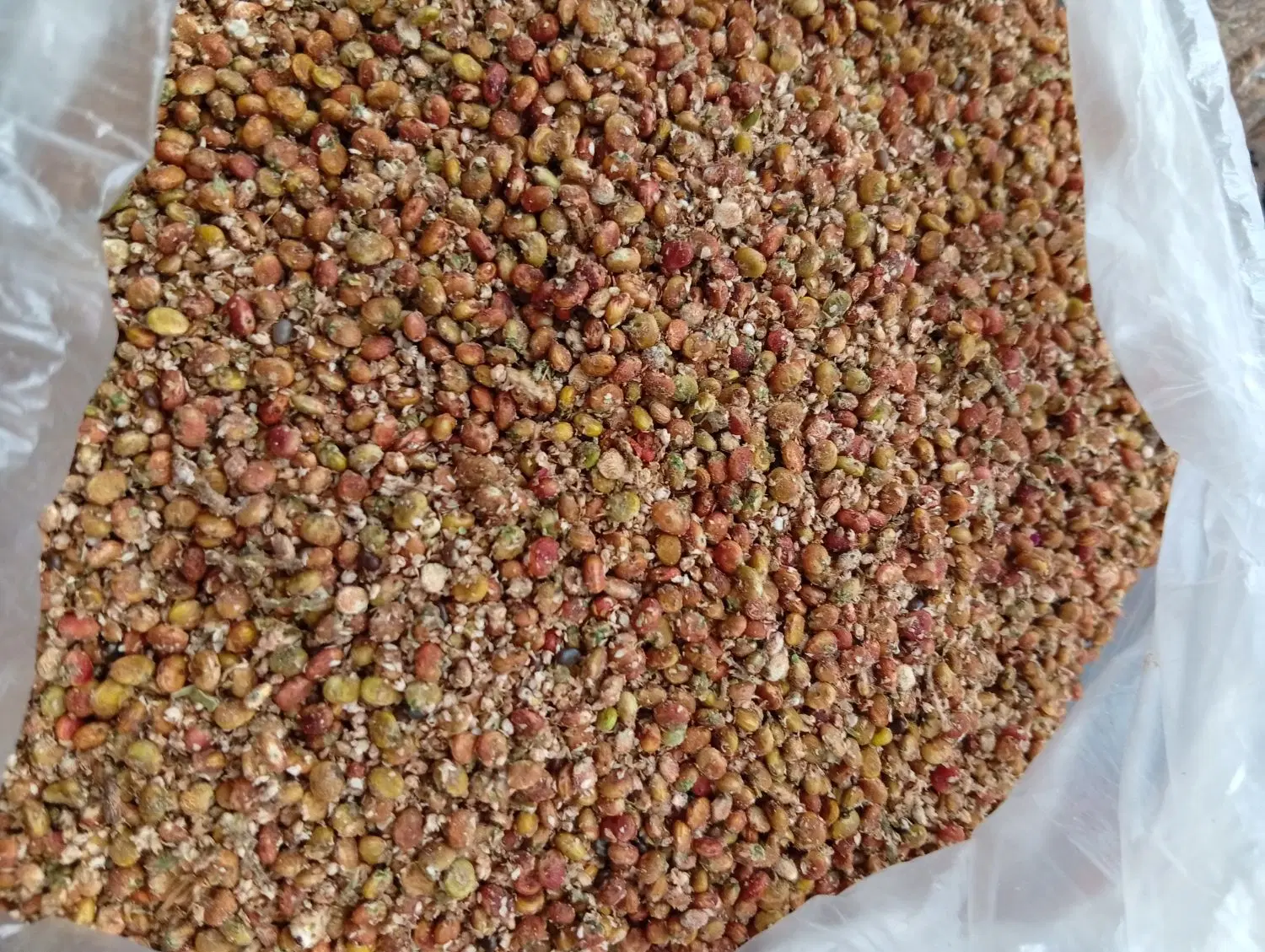 سماق|خوردنی و آشامیدنی|جوانرود, |دیوار