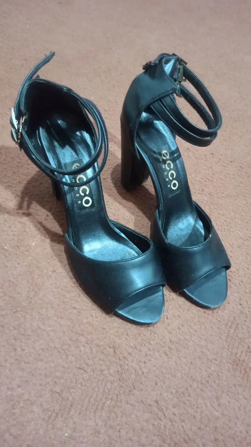 کفش مجلسی|کیف، کفش، کمربند|مشگین شهر, |دیوار