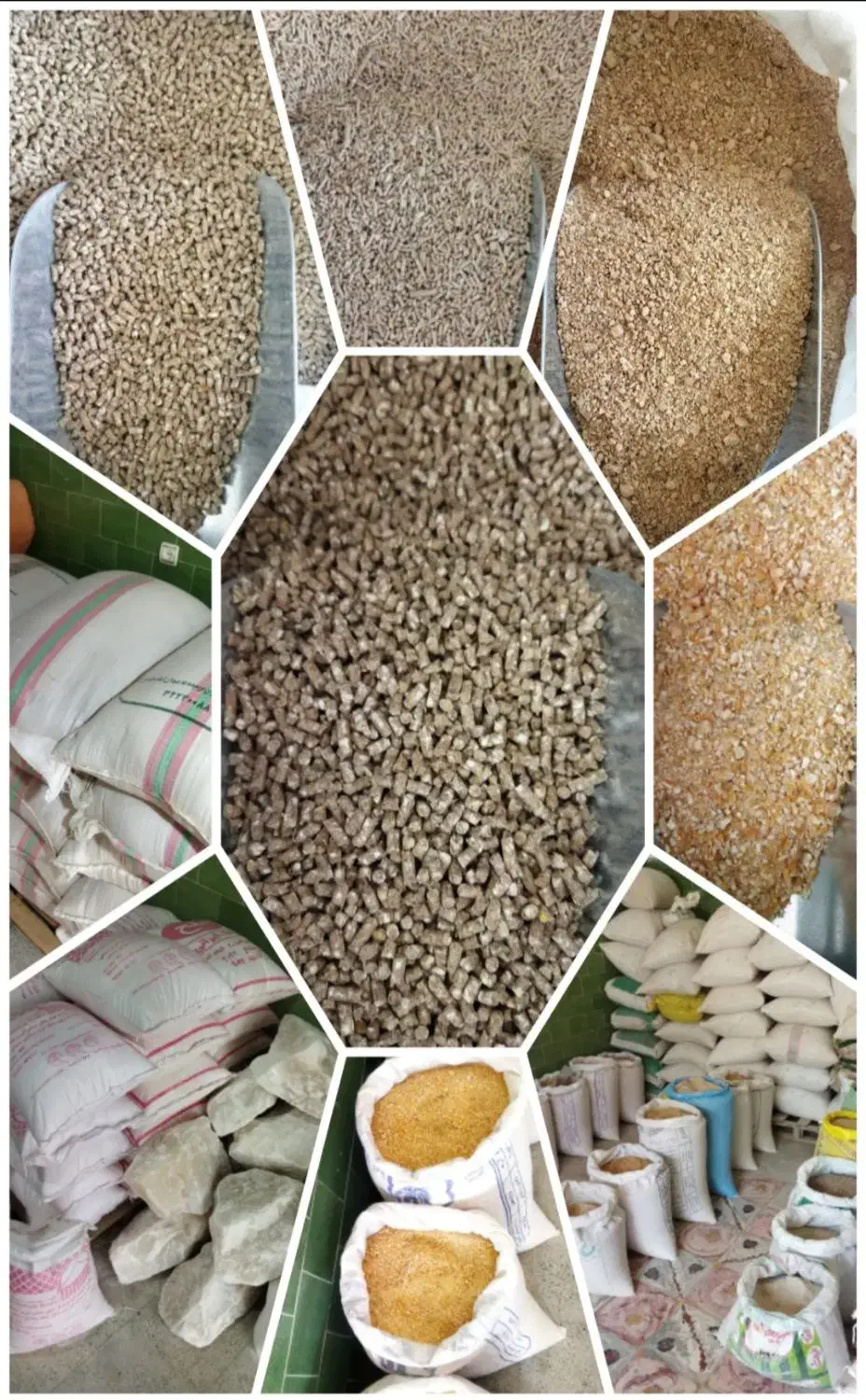 پخش سبوس،کنسانتره»یونجه ذرت علوفه جو گندم دان مرغ|لوازم جانبی حیوانات|ایوان, |دیوار