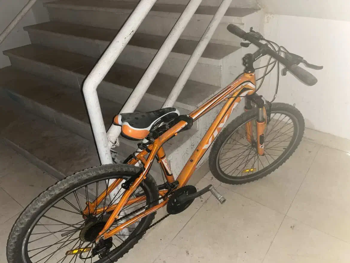 دوچرخه|دوچرخه، اسکیت، اسکوتر|کیش, |دیوار