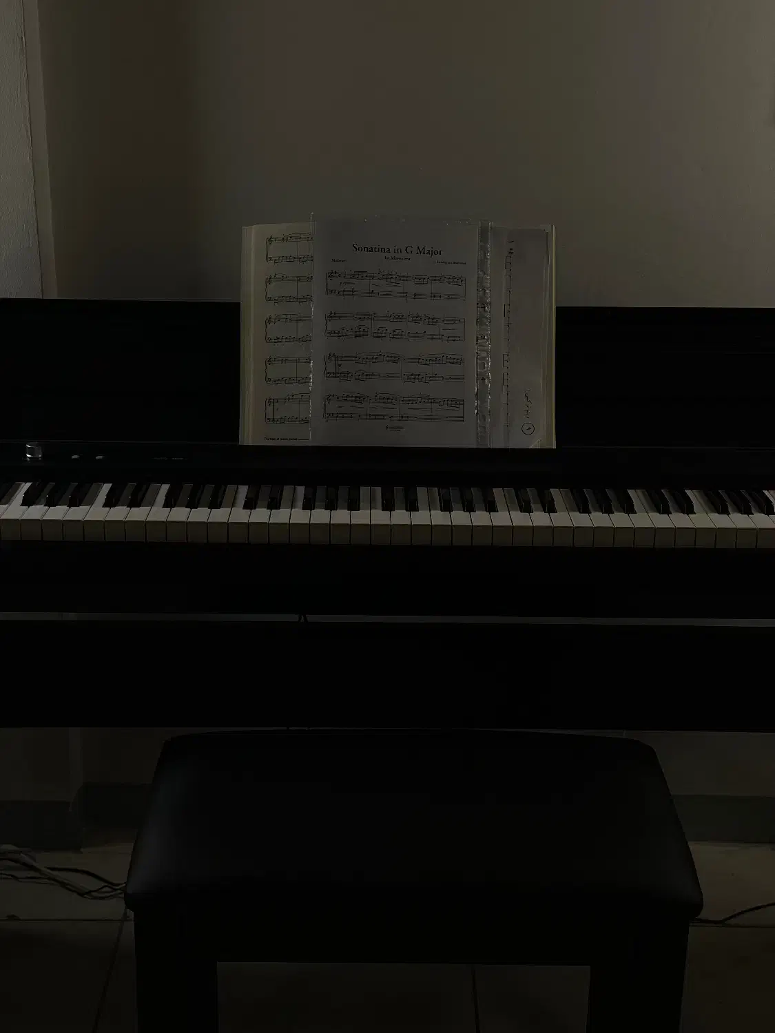 آموزش پیانو و سلفژ|خدمات آموزشی|قرچک, شهرک طلائیه|دیوار