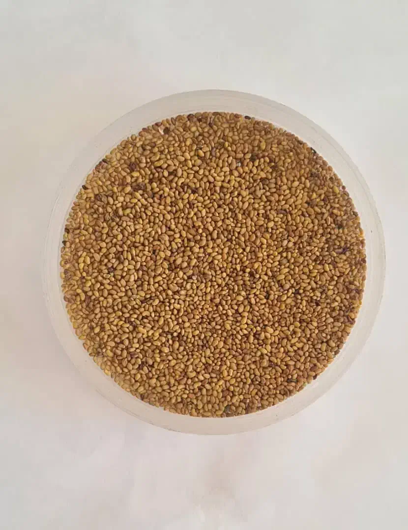 ریز ماش ساری گوز|خوردنی و آشامیدنی|ارشق, |دیوار